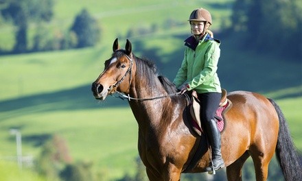 One or Four 60-Minute Horseback-Riding Lessons at Olde Towne Equestrian Center (Up to 29% Off)