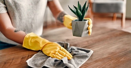 Up to 77% Off on House Cleaning at Dream Team Cleaning