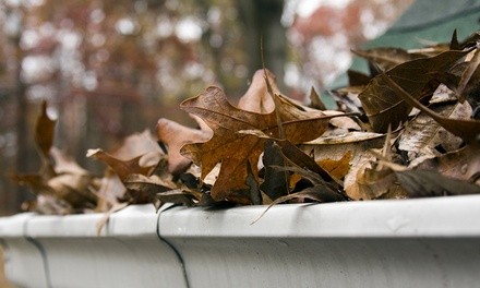 Gutter Cleaning for Up to 2,000 or 3,000 Square Feet from Zeus Home Detailing (Up to 53% Off)