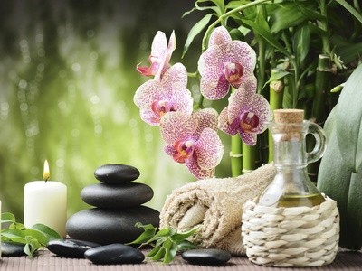 50% Off Feng Shui