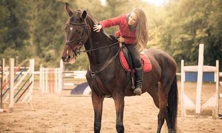 Private Horseback-Riding Lesson for One or Two at Peaceful River Ranch (Up to 31% Off)