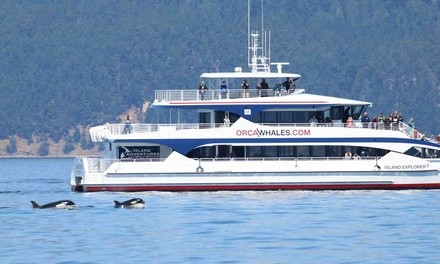 $89 for 4.5-Hour Guaranteed Whale Watching Tour from Island Adventures on March 13-June 30 ($109 Value)