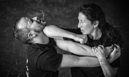 Krav Maga or Martial Arts Classes at National Karate Academy of Martial Arts (Up to 90% Off). Three Options.