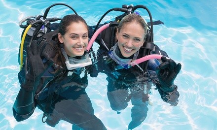 $55 for Scuba Discover Session for One at 20,000 Leagues Scuba and Aquatics ($100 Value)