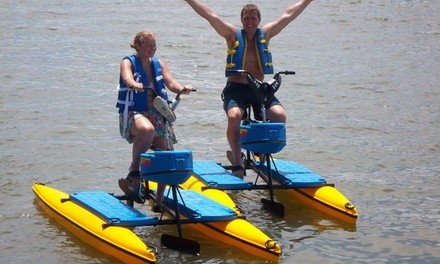 Two-Hour Hydrobike Rental for One, Two, or Four at Sea Serpent Tours (Up to 40% Off)