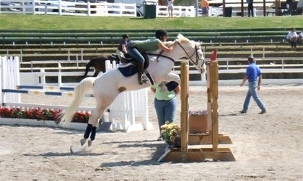 One, Two, or Three 60-Minute English Horse-Riding Lessons at Southwind Stables (Up to 57%)