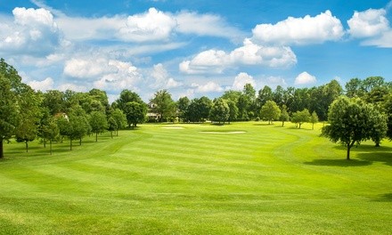 Up to 39% Off on Golf Lessons at MoreBirdies Golf Shop 