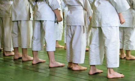 One or Two Months of Unlimited Jiu-Jitsu Classes at Alliance Jiu-Jitsu Keller (Up to 65% Off)