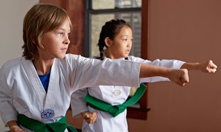 Up to 70% Off on Martial Arts Training for Kids at Dana's Dojo