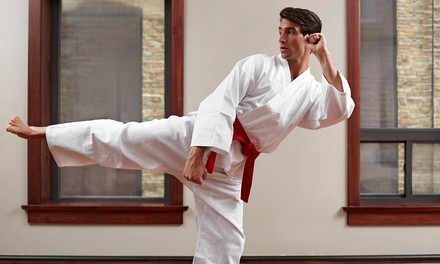 One or Four Weeks of Karate, LOK Kickbox, or Full Contact Kickboxing at WMA-IHKA Martial Arts (Up to 84% Off)