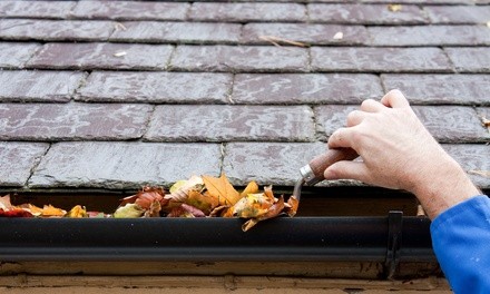 Up to 56% Off on Gutter Cleaning at Nash Cleaning Co