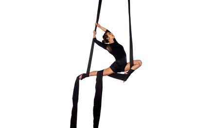 Up to 48% Off on Aerial Fitness at Vicious Vixens Studios