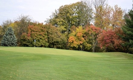18-Hole Round of Golf for One, Two, or Four with Cart at Briggs Woods Golf Course (Up to 42% Off). Six Options.