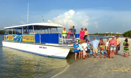 $23 for Two-Hour Dolphin and Wildlife Adventure Cruise for One from Sight Sea-R Cruises ($30 Value)