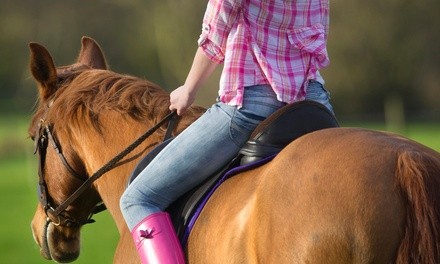 $45 for 90-Minute Private Horseback-Riding Lesson for One at High Point Equestrian Center ($60 Value)