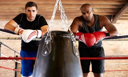 Up to 36% Off on Boxing / Kickboxing - Training at Wasatch Combat Sports