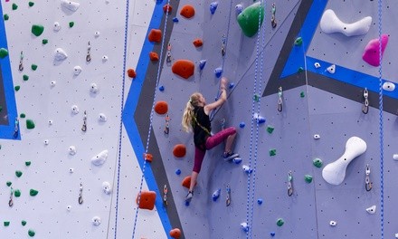 Belay Rock-Climbing Classes for One or Two at Central Rock Gym Buffalo (Up to 50% Off). 4 Options Available.