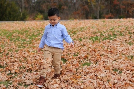 Up to 70% Off on Seasonal Photography at By Laura ramirez