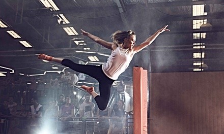 One, Two, or Four 90-Minute, or Six 60-Minute Jump Passes to Sky Zone (Up to 41% Off)