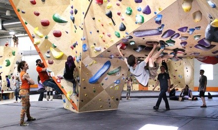 One-Day Climbing at Longmont Climbing Collective (Up to 37% Off). Four Options Available.