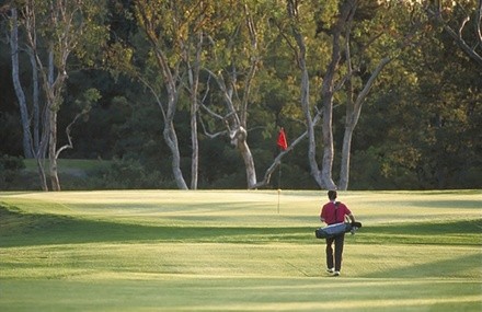 $30 For 18 Holes Of Golf, Greens Fees & Cart For 2 (Reg. $60)