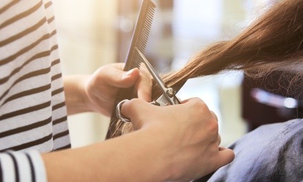 One or Two Women's Haircuts and Deep-Conditioning Treatments at Young Attitude Salon (Up to 50% Off)