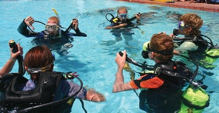 $35 For A 2-Hour Discover Scuba Session For 1 Person, Includes Use Of Equipment & Team Instructor (Reg. $70)