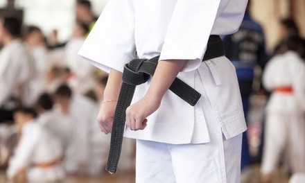 Up to 74% Off on Martial Arts Training for Kids at Ultimate Tae Kwon Do