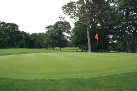 $92 For 18 Holes Of Golf For 4 People With Carts (Reg. $184)