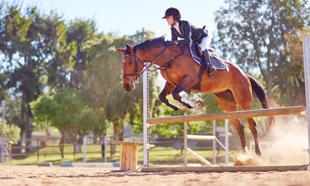 One 60-Minute Horseback-Riding Group Lesson for One or Two at New York Equestrian Center (Up to 23% Off)