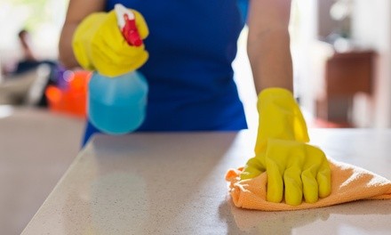 Two or Four Man-Hours of House Cleaning from Tidy-and-Clean of NC (Up to 46% Off)