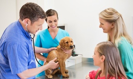 Vaccine Plus Package for Dog or Cat at New Market Animal Hospital (Up to 58% Off)