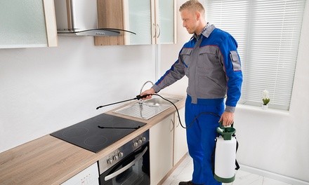 Total Home Pest Control Service for House Up to 3,000 or 5,000 Square Feet from EcoTek (Up to 65% Off)