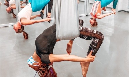 Up to 40% Off on Aerial Fitness at Altitude Fitness Inc.