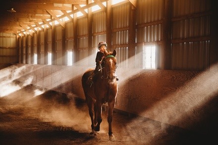 Up to 43% Off on Horse Back Riding - Recreational at Redwing Farm LLC