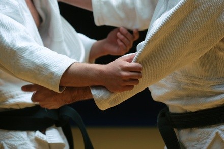 $73 Off $145 Worth of Martial Arts / Karate / MMA