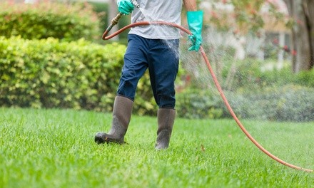 Interior or Exterior Pest Extermination from The Kings Pest Control (Up to 55% Off). Three Options Available.