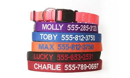 One, Two, Three, or Five Personalized Dog Collars from Qualtry (Up to 48% Off) - Shipping Included