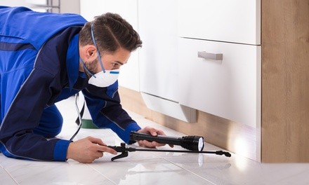 $89 for One-Time Organic Interior & Exterior Pest-Control Treatment from Adept Pest Control ($200 Value)