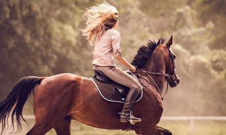 $285 for Horseback Riding Spring Break Camp (March 15–18) at RNR Stables ($400 Value)