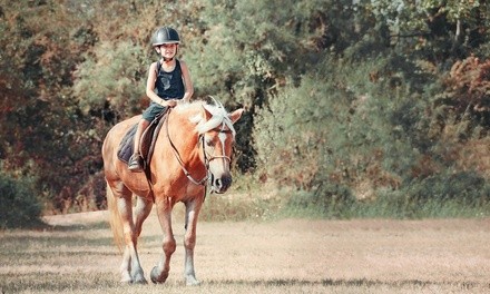 Spring or Summer Break Horsemanship Camp for 1 or 2 at Robinson Ranch (Up to 51% Off). 4 Options Available.