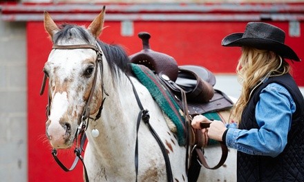 One or Four 60-Minute Horseback-Riding Lessons at White Birch Farm–Central Connecticut (Up to 41% Off) 