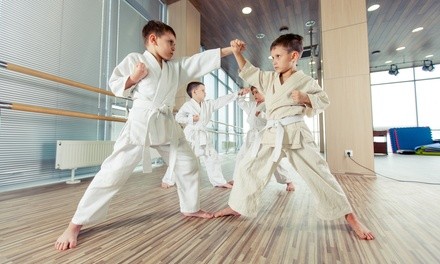 Up to 84% Off on Martial Arts Training at American Martial Arts ATA Dragon Academy