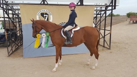 Up to 44% Off on Horse Back Riding - Training at Caliber Farms