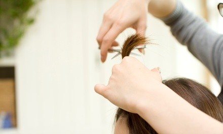 Haircut and Style with Optional Single-Process Color or Full Highlights at New Image Hair Studio (Up to 50% Off)