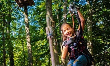 Aerial Adventure Park Experience for One, Two, Four, or Six at The Adventure Park at Nashville (Up to 21% Off)