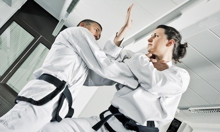 Up to 50% Off at House of Arts - Martial arts academy