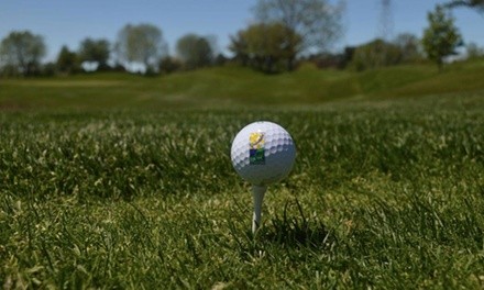 9-Hole Round of Golf for One, Two, or Four Including pull cart at Grayslake Golf Course (Up to 48% Off)