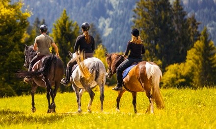 90-Minute Horseback Ride for One, Two, or Four at Vegas Trail Rides (Up to 23% Off)