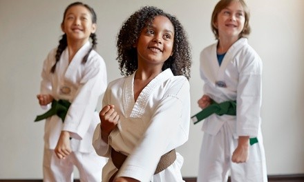 Up to 77% Off on Martial Arts Training for Kids at World Martial Arts Academy